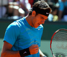 Juan Martin del Potro French Open