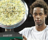 Gael Monfils